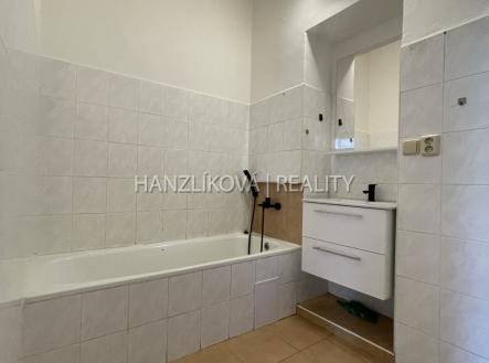 Pronájem bytu, 1+1, 49 m²