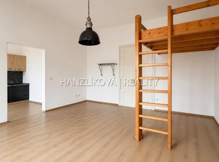 Pronájem bytu, 1+1, 49 m²