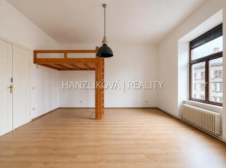 Pronájem bytu, 1+1, 49 m²