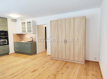 Pronájem bytu, 1+kk, 41 m²
