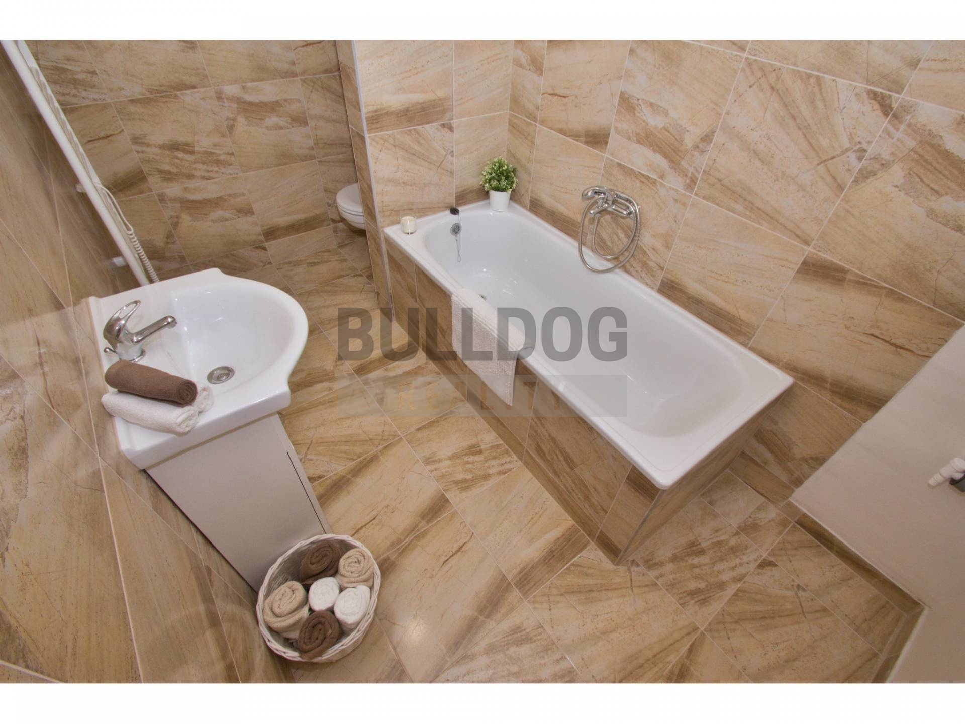 Fotku se nepodařilo načíst.