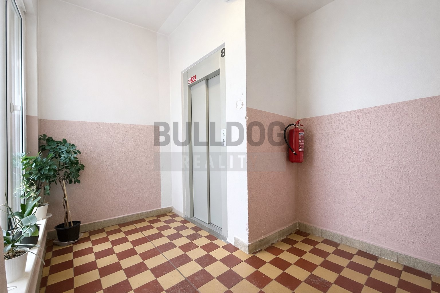 Fotku se nepodařilo načíst.