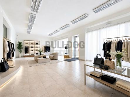 Prodej nájemního domu, 672 m²