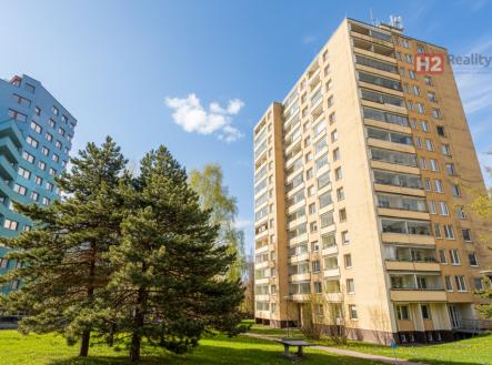 Pronájem bytu, 2+1, 62 m²