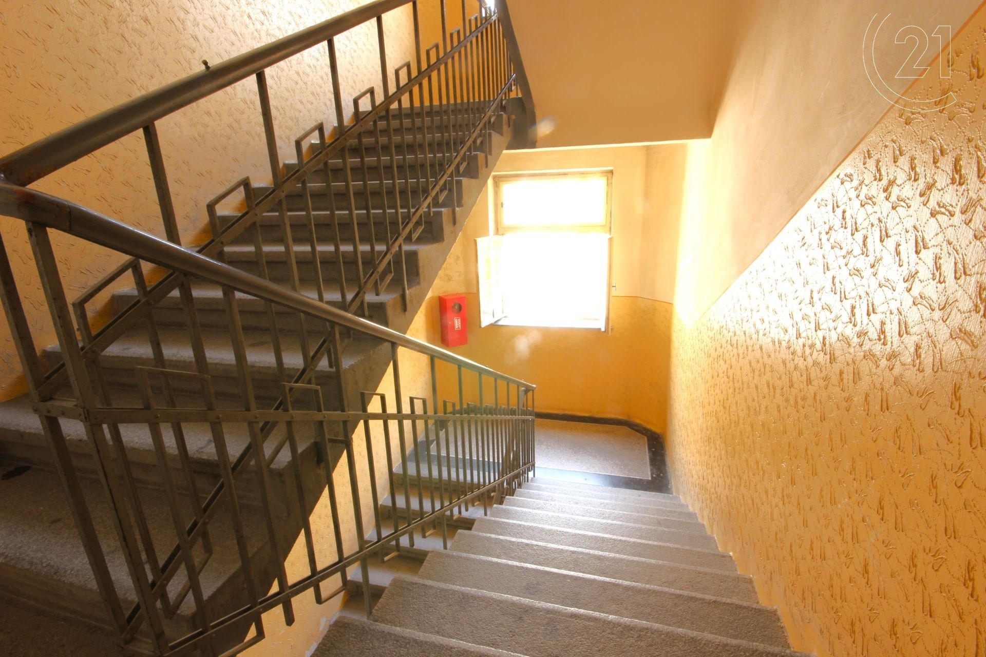 Fotku se nepodařilo načíst.