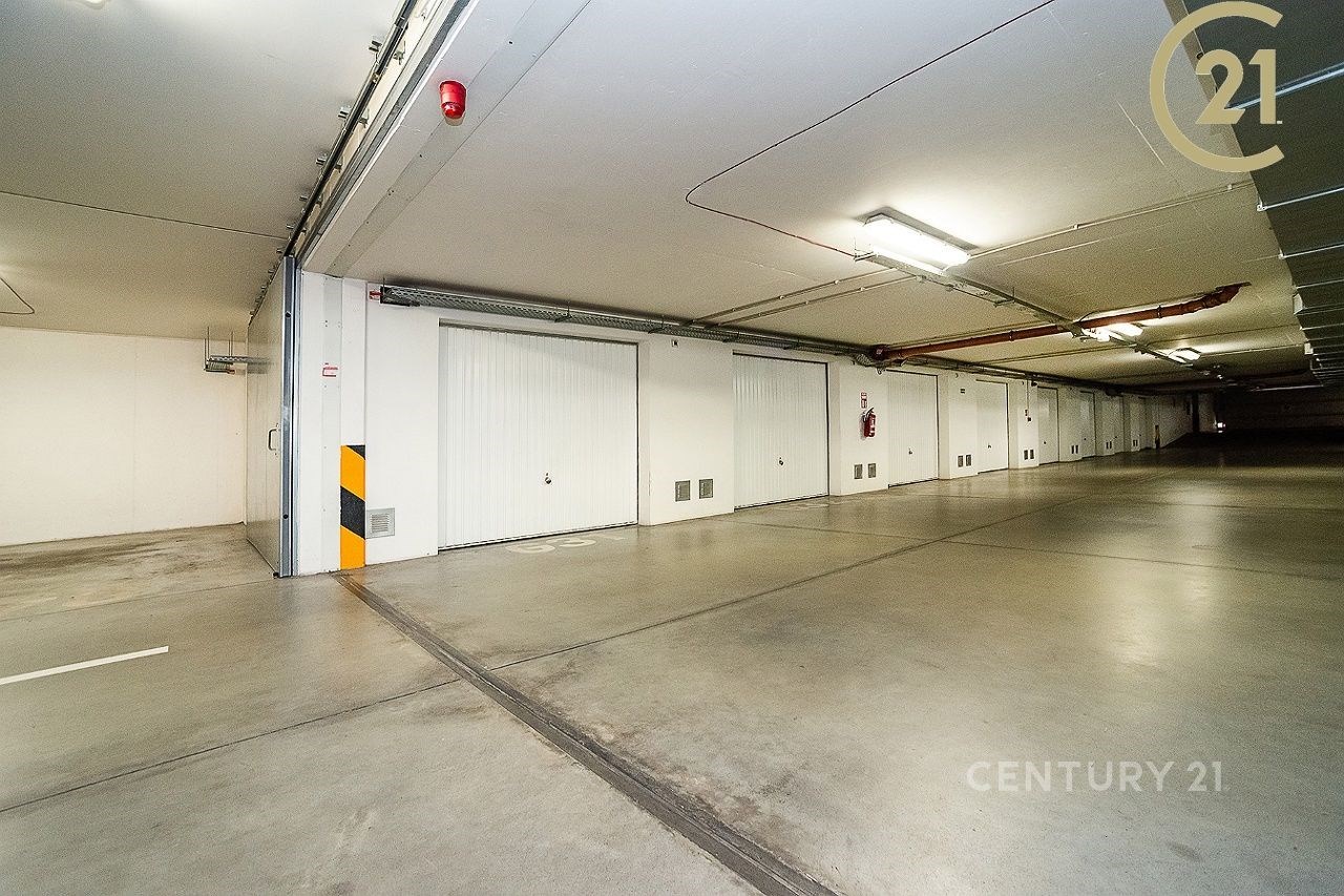 Fotku se nepodařilo načíst.