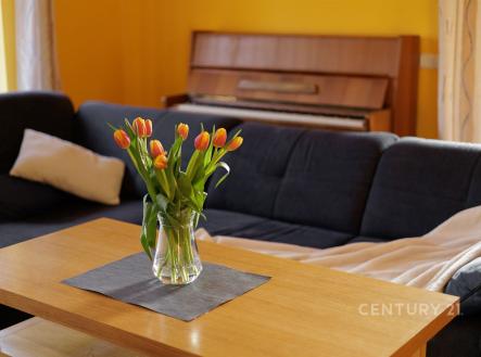 Prodej domu/vily, 242 m²