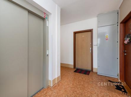 Chodba před bytem, Stříbrského, Praha - Háje,  prodej Hana Yates