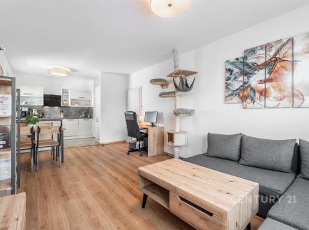 Pronájem bytu, 3+kk, 67 m²
