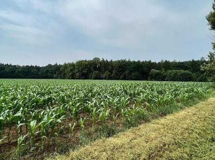 Prodej - pozemek, zemědělská půda, 5 531 m²