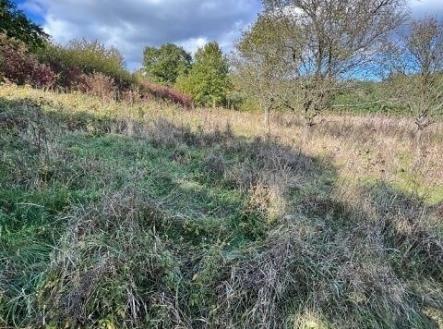 Prodej pozemku, les, 910 m²