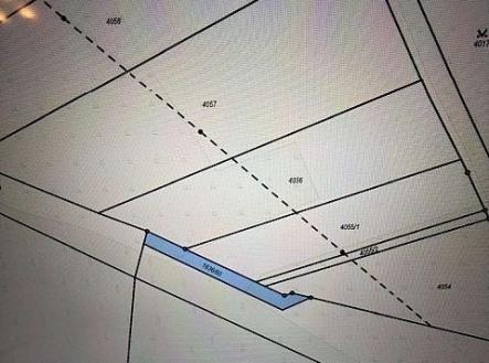 Prodej pozemku, les, 245 m²