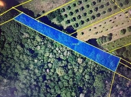 Prodej pozemku, les, 1 340 m²