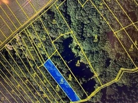 Prodej pozemku, les, 628 m²