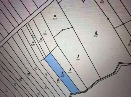 Prodej pozemku, les, 628 m²
