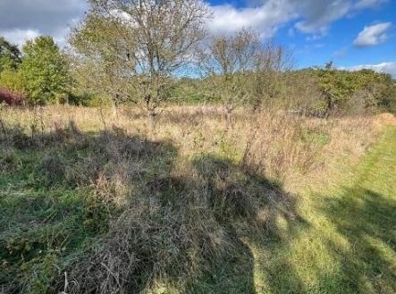 Prodej pozemku, les, 628 m²