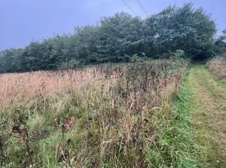 Prodej pozemku, les, 628 m²