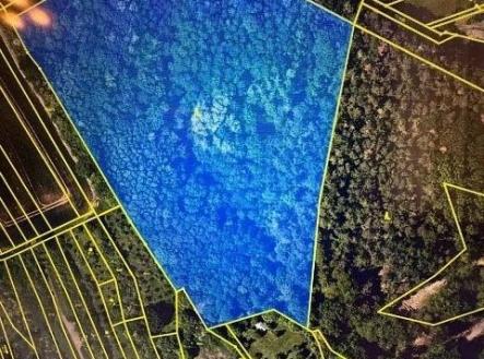 Prodej pozemku, les, 29 958 m²