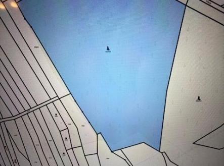 Prodej pozemku, les, 29 958 m²