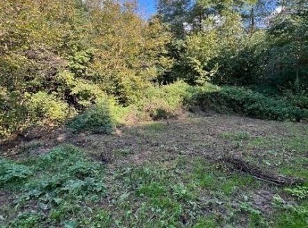 Prodej pozemku, les, 29 958 m²