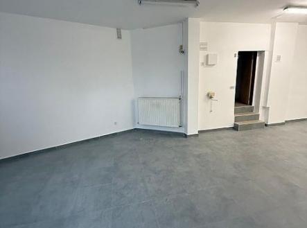 Pronájem domu/vily, 490 m²