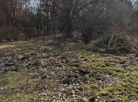 Prodej pozemku, trvalý travní porost, 1 081 m²