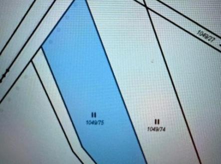 Prodej pozemku, trvalý travní porost, 116 m²