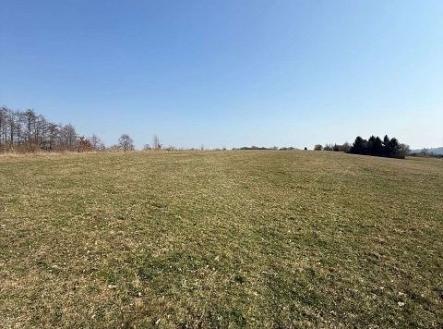 Prodej pozemku, trvalý travní porost, 116 m²