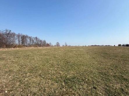 Prodej pozemku, trvalý travní porost, 116 m²