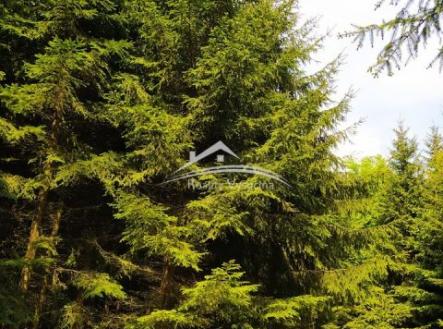 Prodej pozemku, les, 8 890 m²