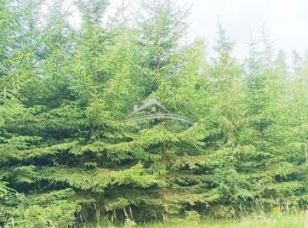 Prodej pozemku, les, 8 890 m²