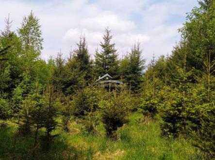 Prodej pozemku, les, 8 890 m²