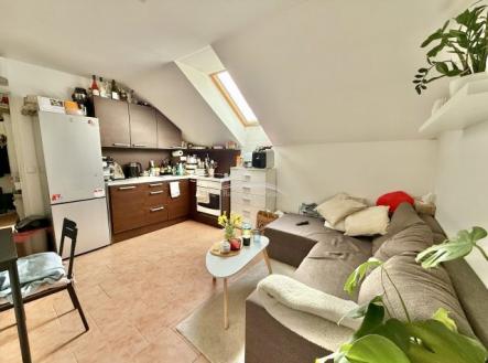 Pronájem bytu, 2+kk, 55 m²