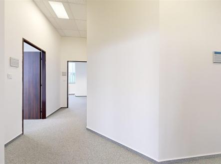 Pronájem kanceláře, 305 m²
