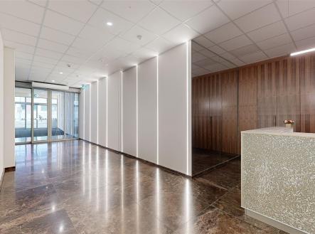 Pronájem kanceláře, 338 m²