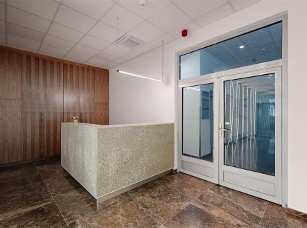 Pronájem kanceláře, 338 m²