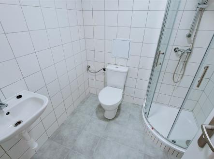 Pronájem bytu, 1+kk, 25 m²