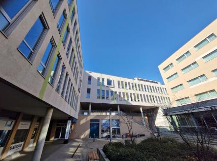 Pronájem kanceláře, 272 m²