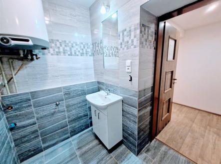 Pronájem bytu, 1+1, 52 m²