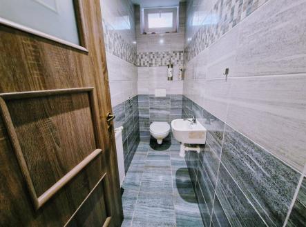 Pronájem bytu, 1+1, 52 m²