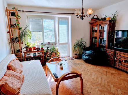 Prodej bytu, 2+1, 47 m²