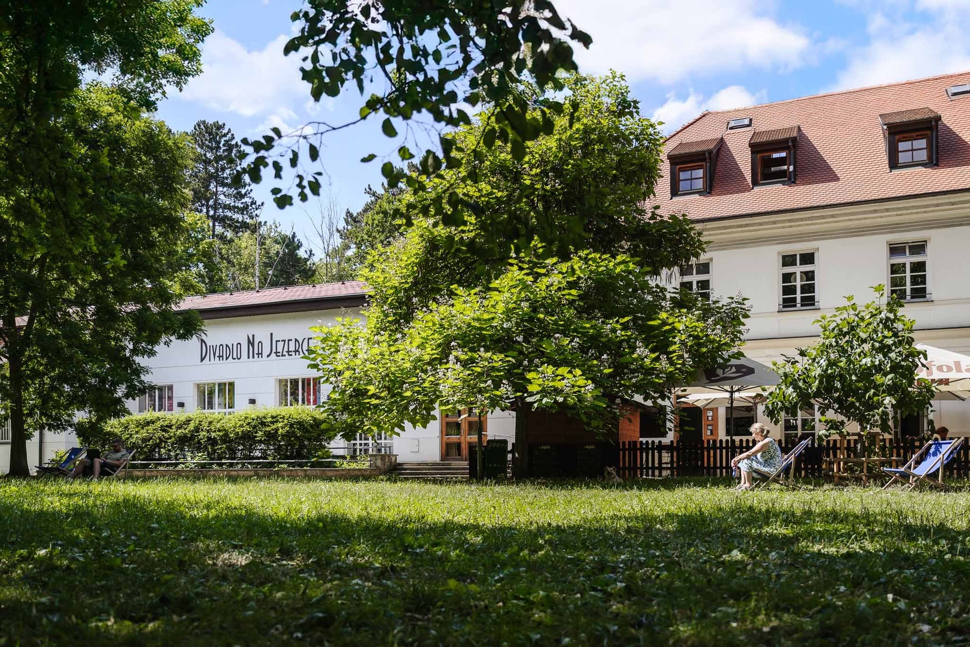 Bělehradská 29