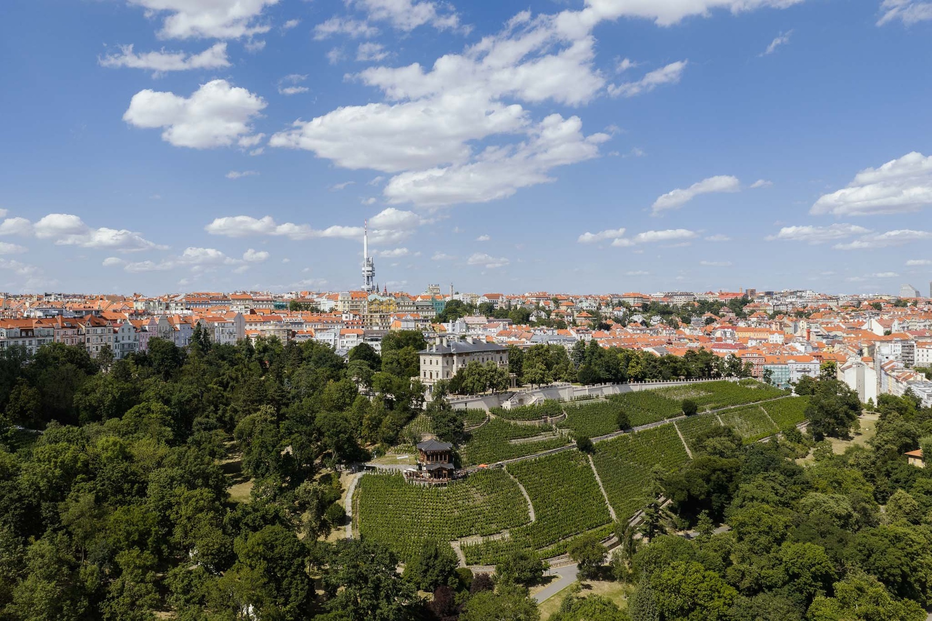 Bělehradská 29