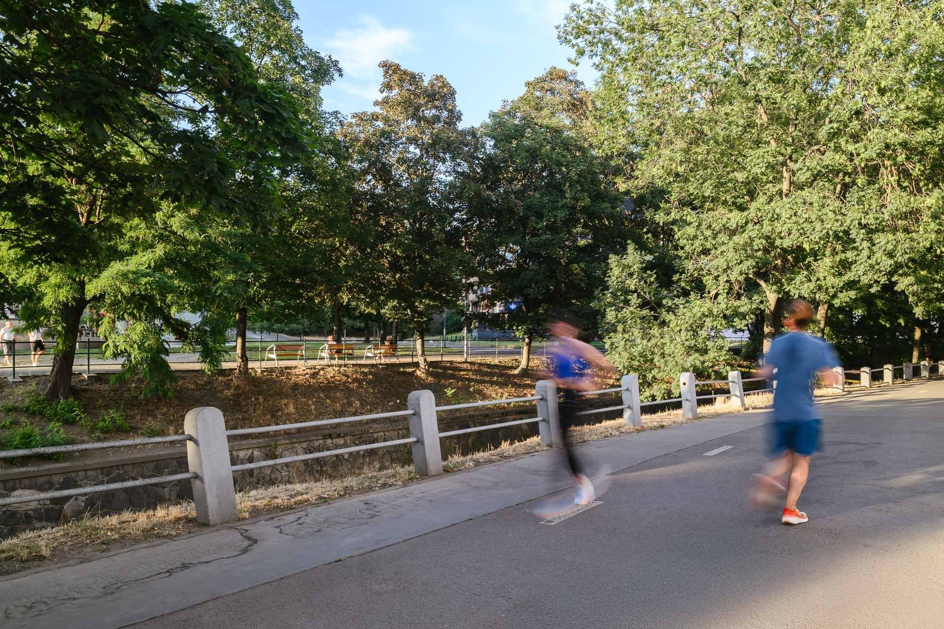 Bělehradská 29