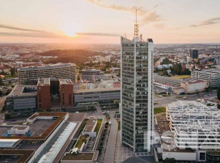 Pronájem kanceláře, 950 m²