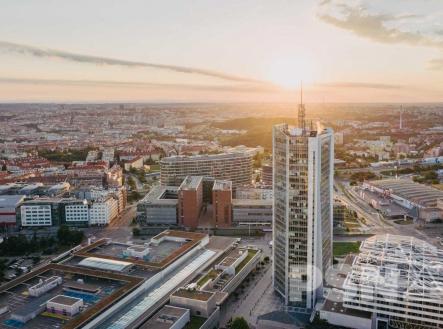 Pronájem kanceláře, 266 m²
