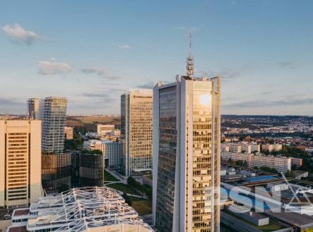 Pronájem kanceláře, 266 m²