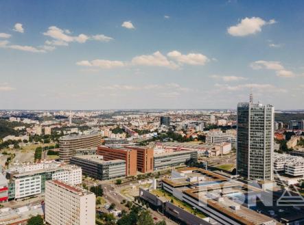 Pronájem kanceláře, 554 m²