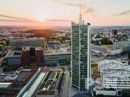 Pronájem kanceláře, 25 m²