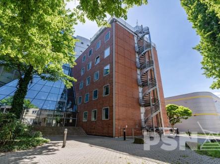 Pronájem kanceláře, 50 m²